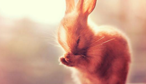 挪威队苦战晋级欧洲杯预选赛，全力以赴